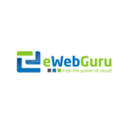 E Web Guru